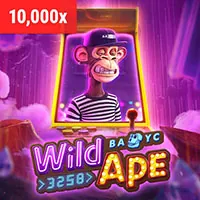Giao diện thân thiện và hỗ trợ 24/7 shbet800